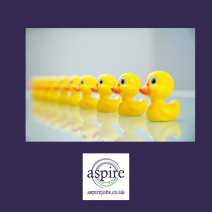 September job search reset: time to get your ducks in a row